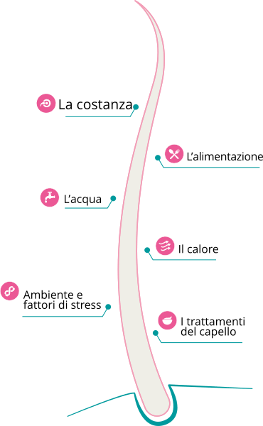 Consigli per capelli sani: la costanza