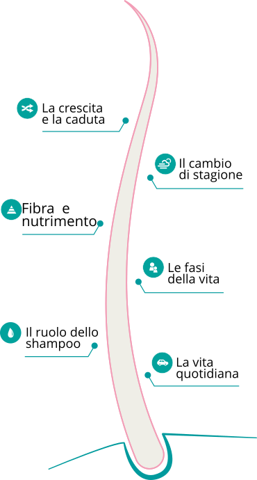 Il capello: fibra e nutrimento